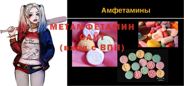 гидра Карпинск