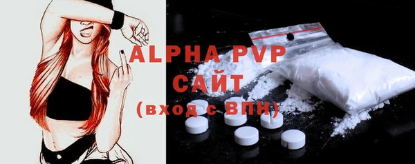 PSILOCYBIN Каменка