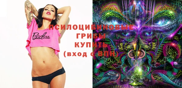 PSILOCYBIN Каменка