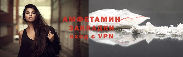 гидра Карпинск
