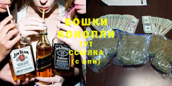 гидра Карпинск
